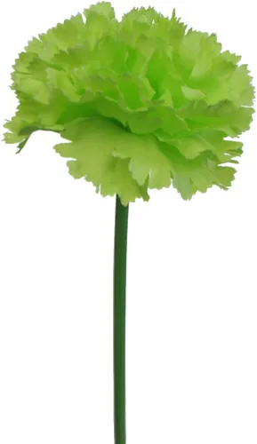 Miniatura 2 de Ramo de seda artificial de 12 tallos de clavel (verde)
