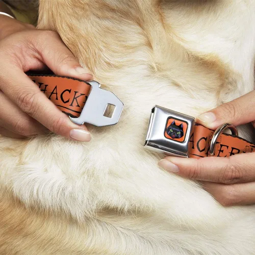 Miniatura 8 de Buckle-Down Collar de perro Hebilla de cinturón de seguridad Hocus Pocus Thackery Binx Cat Silhouette Naranja Negro, 1 pulgada de ancho - Se adapta
