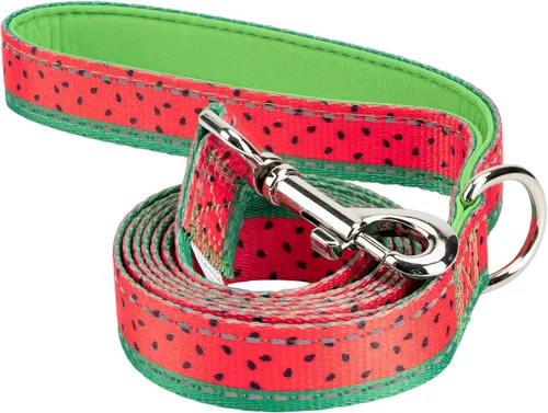 Miniatura 12 de EcoBark Correa para perro – Correas de entrenamiento cómodas suaves y reflectantes con mango acolchado – Fuerte y duradera resistente – Verde