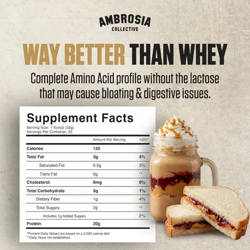 Miniatura 2 de Ambrosia Planta - Polvo de proteína a base de plantas 20g Polvo de proteína vegana sin lácteos con aminoácidos BCAA Apto para dieta cetogénica