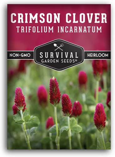 Semillas de trébol carmesí para plantar – Variedad de reliquia sin OMG – Cubierta de fijación de nitrógeno, flores de cultivo para jardines