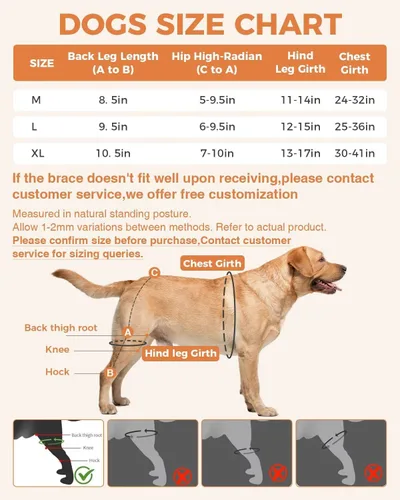 Miniatura 5 de Rodillera para Perro para Pata Trasera Rota ACL/CCL, Soporte Ajustable con Suficiente Envoltura y Apoyo para Luxación de Rótula, Rodillera