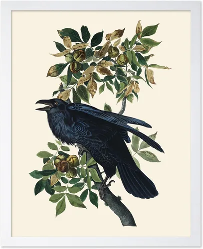 Miniatura 8 de Poster Master Vintage James Audubon Póster - Impresión Retro de Cuervo - Arte de Aves de América - Arte de Aves - Regalo para Hombres, Mujeres