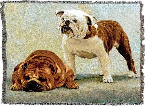 Miniatura 2 de Pure Country Weavers Manta con texto en inglés "I Said I was Sorry Bulldog por Bob Christie", regalo para los amantes de los perros, manta de tapiz