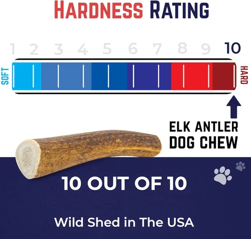 Miniatura 7 de Devil Dog Pet Co. Cornamentas de alce para perros, extra grandes 17,8 cm+, 1 paquete, grado A, masticable duradero para masticadores agresivos, asta