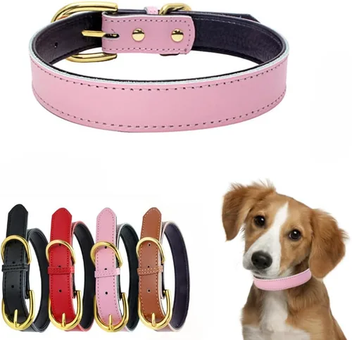 Collares de cuero para perros medianos, acolchado suave al tacto, grueso de piel de vaca auténtica, hebilla dorada duradera, collares ajustables