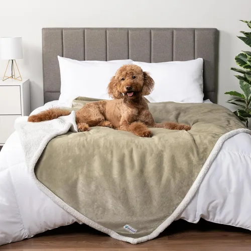 Miniatura 26 de PetAmi - Manta impermeable para perros medianos, cachorros, gatos pequeños Manta suave de forro polar Sherpa para mascotas, para sofá, sofá, funda