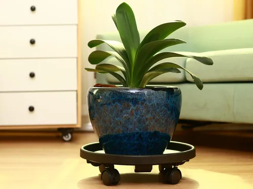 Miniatura 6 de Paquete de 3 organizadores grandes para plantas con ruedas de 13 pulgadas, soportes rodantes para plantas de plástico resistente, base rodante