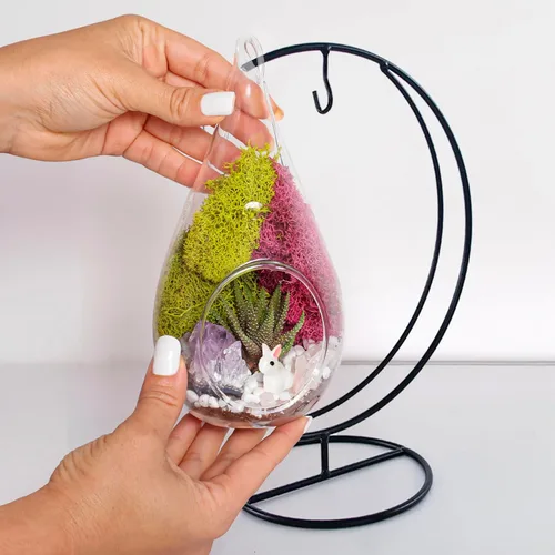 Miniatura 7 de Creations by Nathalie Kit de terrario casero de 18 cm en forma de lágrima con plantas vivas - Maceta colgante de vidrio con soporte para adultos
