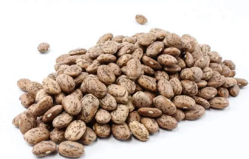 Semillas de frijol pinto Shell - Paquete de semillas de 50 unidades - Sabrosas y fáciles de cultivar, estas son excelentes chiles y frijoles