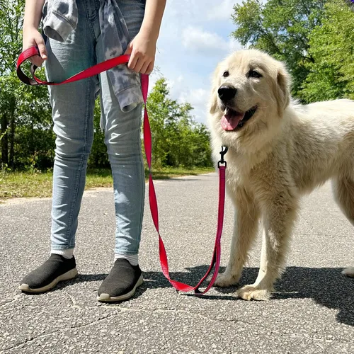 Miniatura 7 de Joytale - Correa resistente para perros grandes que tiran, doble asa para control de tráfico, correas reflectantes de doble cara para perros grandes