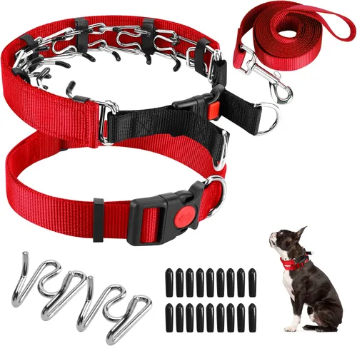 Miniatura 33 de Collar de entrenamiento de puntas con puntas cómodas y hebilla de cierre rápido – Collar de pellizco para perro con cubierta de nailon
