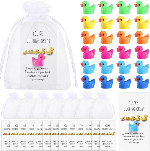 Unittype 24 piezas de regalos inspiradores, mini patos de resina a granel con tarjetas de texto "You're Great", bolsas de organza, regalos