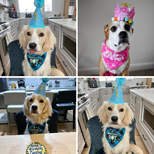 Miniatura 7 de Mihachi Suministros para fiestas de cumpleaños para perros, bandana y sombrero con número, bufanda triangular para regalo de decoración, perros