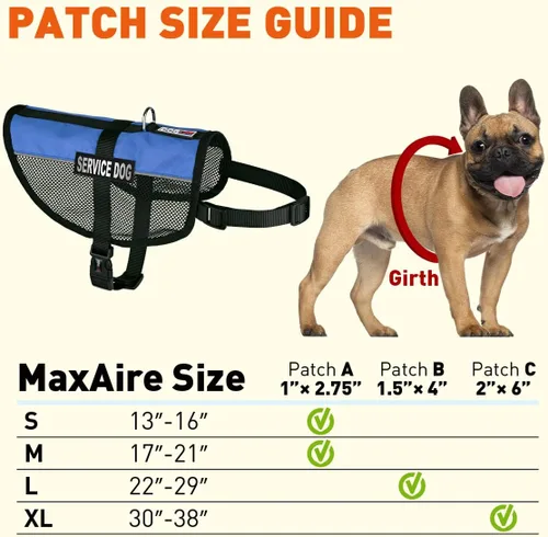 Miniatura 9 de Dogline Chaleco para perro de servicio, 17 x 21 pulgadas, azul