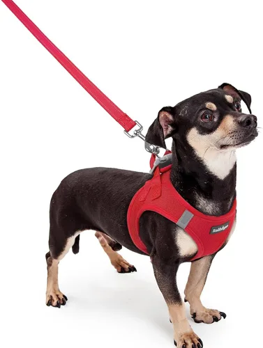 Miniatura 24 de rabbitgoo Juego de arnés para perro de tamaño pequeño y correa, chaleco ligero suave para cachorro, arnés de malla transpirable para mascotas