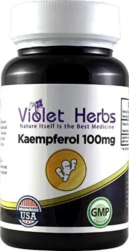 Kaempferol 100mg 60 unidades botella, cápsula, Kaempferia Galangal, harina de arroz, esterato de magnesio, cápsula de gelatina