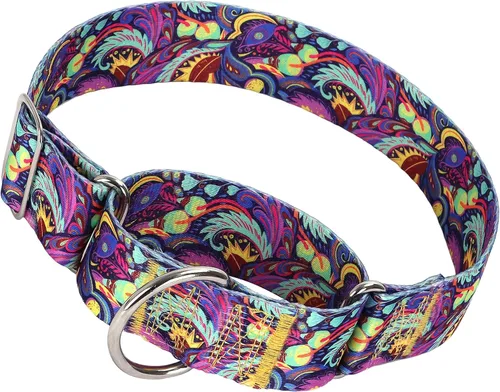 Miniatura 14 de Collar Martingale para Perro de 1.5 Pulgadas de Ancho - Diseño de Calavera Extra Resistente para Perros Grandes, Collar de Entrenamiento Ajustable