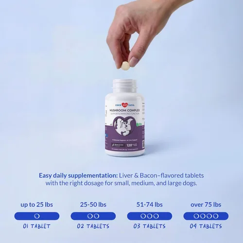 Miniatura 6 de Hongo de cola de pavo para perros, complejo de hongos para bultos y protuberancias, Reishi, Cordyceps, melena de león, cola de pavo, maitake