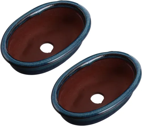 Yardwe 2 macetas de cerámica esmaltadas para bonsái y cactus, elegantes adornos de escritorio decorativos para interiores para el año y la