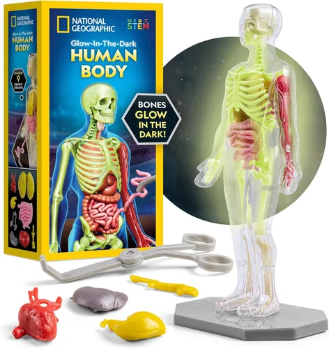 Modelo del Cuerpo Humano de National Geographic para Niños que Brilla en la Oscuridad - Modelo de Anatomía Interactivo de 32 Piezas con Huesos,