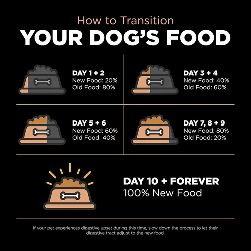 Miniatura 8 de Go! Solutions Digestion + Gut Health - Alimento seco de salmón para perros, croquetas premium sin pollo para bienestar gastrointestinal y digestivo