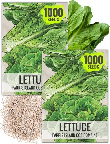 Miniatura 10 de Seed Needs Semillas de lechuga romana para plantar Parris Island COS - Cultivos anuales de clima frío sin OMG y sin tratar, cultiva un huerto al