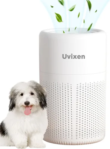 Purificadores de aire para el hogar, mini purificador de aire con filtro de aire HEPA, purificador de aire operado por USB para dormitorio,