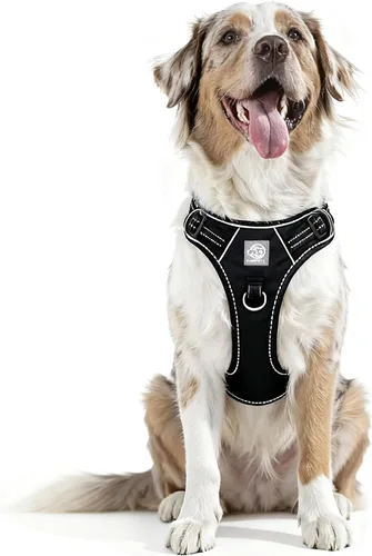 Miniatura 11 de Arnés de chaleco para perros - Acolchado ajustable reflectante con diseño fácil de poner y accesorio de correa (S, negro)