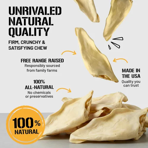 Miniatura 5 de Dog Chits Orejas de vaca para perros – Golosinas para perros totalmente naturales con orejas de vaca y masticables de entrenamiento – Alto