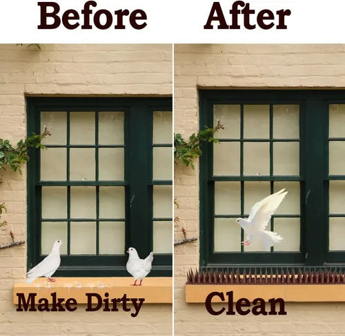 Miniatura 3 de Paquete de 24 palomas para pájaros para exteriores con 30 bridas para cables, picos disuasorios de pájaros para palomas y otras aves pequeñas, picos