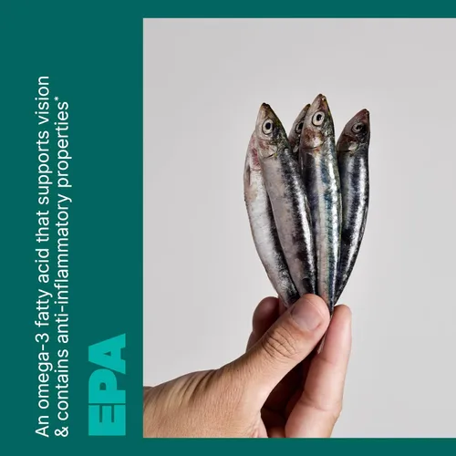 Miniatura 4 de Aceite de pescado salvaje Omega 3 - EPA DHA Omega 3 Suplemento de aceite de pescado - Ayuda a apoyar la salud del cerebro, los ojos y el corazón