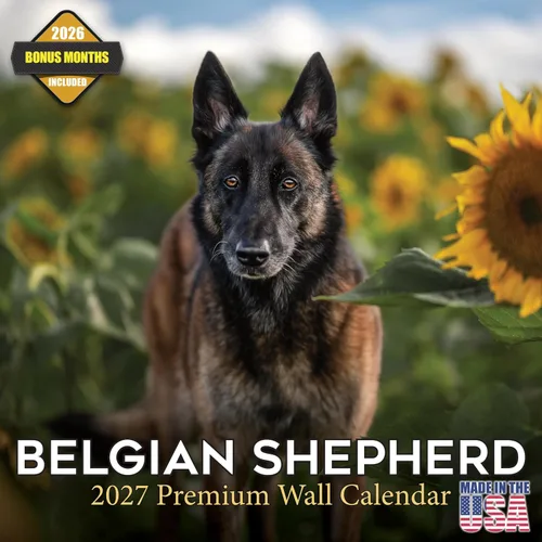 Miniatura 187 de Calendario 2025 2026 de cachorros Cocker Spaniel - Calendario mensual de pared de raza de perro - 12" x 24" abierto - Papel grueso sin sangrado