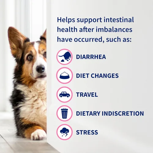 Miniatura 8 de Nutramax Proviable Probióticos para Perros y Gatos, Suplemento Diario para la Salud Digestiva con Múltiples Cepas de Bacterias, Probióticos