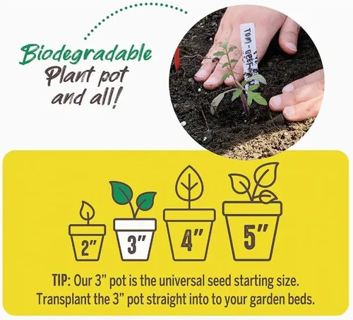 Miniatura 3 de Jiffy Macetas biodegradables orgánicas para plántulas, orificio de drenaje, 3 pulgadas, paquete de 22 unidades, turba Marrón