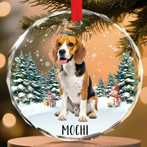 Miniatura 13 de FLOCHIL Adornos de Navidad Personalizados para Gatos Adornos de Navidad Personalizados con Foto y Nombre para Árboles de Navidad, Adornos de Navidad