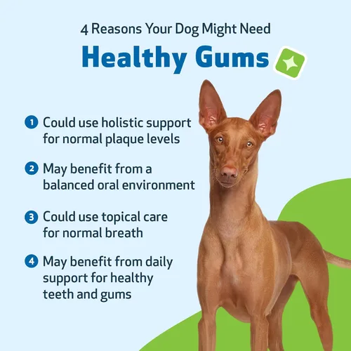 Miniatura 3 de Pet Wellbeing - Encías saludables para perros - Suplemento natural para encías, dientes y aliento saludables contra la gingivitis del perro - 2oz