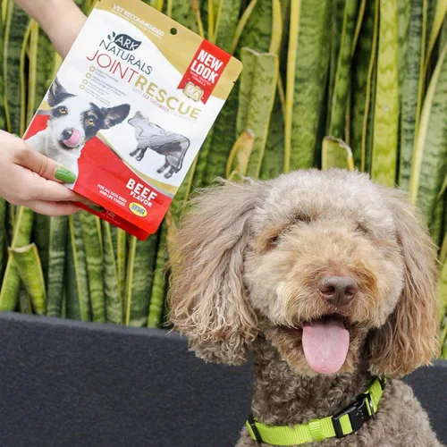Miniatura 7 de Ark Naturals Joint Rescue - Masticable para perros, sabor a carne, suplemento para articulaciones con glucosamina y condroitina, 1 paquete