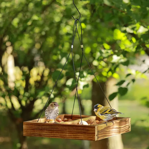 Miniatura 5 de MIXXIDEA Bandeja colgante para comedero de pájaros, bandeja de semillas de madera, bandeja colgante para colibríes, plataforma de semillas de malla