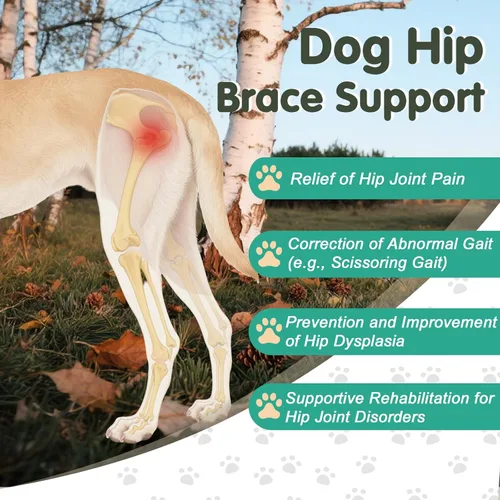 Miniatura 2 de Soporte ortopédico de cadera para perro, soporte para displasia de cadera para perro, soporte para displasia de cadera, artritis, rótula luxante