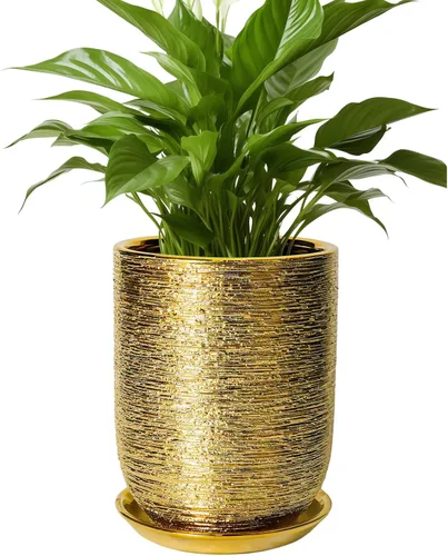 Miniatura 41 de Maceta de Cerámica para Plantas de Interior de 5 Pulgadas - Maceta Redonda para Plantas Suculentas con Agujero de Drenaje y Platillo, Decoración