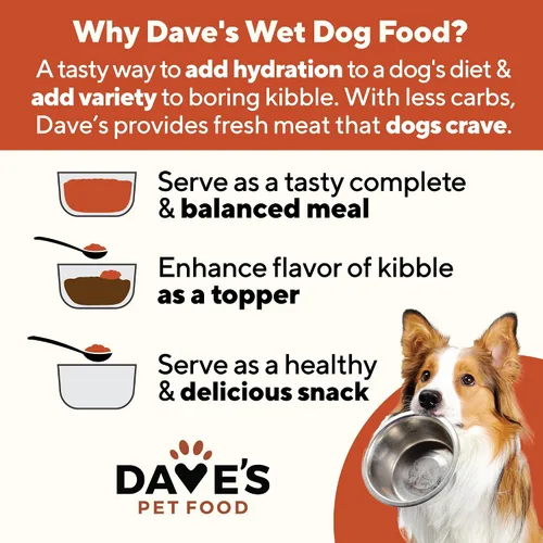 Miniatura 3 de Dave's Pet Food Stewlicious - Alimento húmedo para perros sin granos (pollo y verduras en salsa), fabricado en Estados Unidos naturalmente