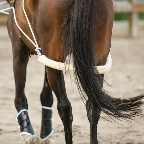 Miniatura 9 de Sistema de entrenamiento europeo avanzado Herramienta de entrenamiento avanzada Mejora el carro de caballos y los auriculares Fomenta