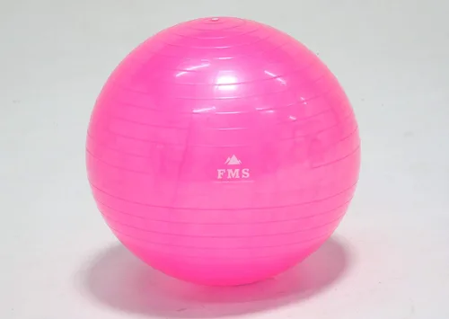 Miniatura 3 de FIM ISU 25.6 in Fitness Stability Ball • Yoga Balance Ball • Ejercicio Entrenamiento Bola INCLUYE Bomba de Pie