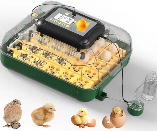 Miniatura 8 de Incubadoras de huevos para incubar huevos con girador automático de huevos, 8 incubadoras para huevos de gallina con vela de huevos para pollo