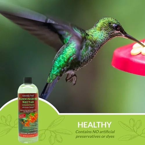 Miniatura 3 de Néctar de colibrí naturalmente fresco con defensor de néctar, concentrado de néctar de colibrí transparente, hace 64 onzas