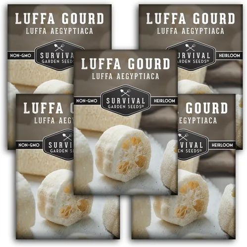 Miniatura 12 de Luffa Seeds for Planting – Variedad de esponja de lufa sin OMG – Cultiva depuradores de baño naturales, frutas jóvenes comestibles y enredaderas