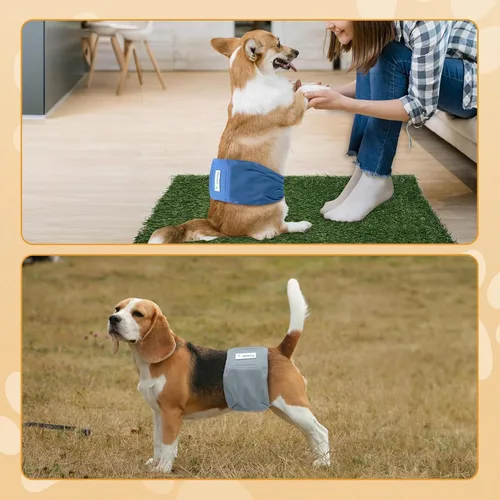 Miniatura 7 de Teamoy Pañales reutilizables para perros machos, bandas lavables para el vientre para cachorros, paquete de 3