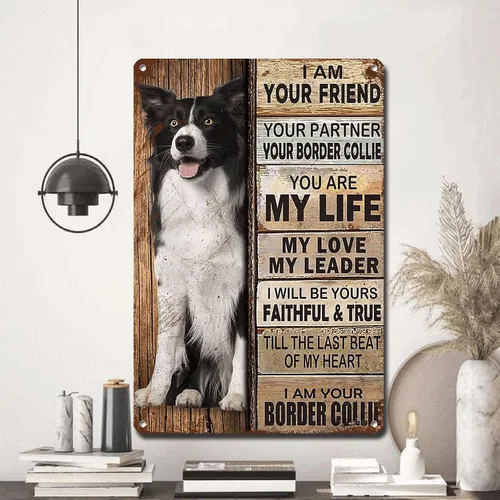 Miniatura 5 de Letrero de Metal Letrero de Hojalata Arte de Pared Vintage I Am Your Friend Regalo para Amantes del Border Collie Arte de Pared Vintage Impresiones