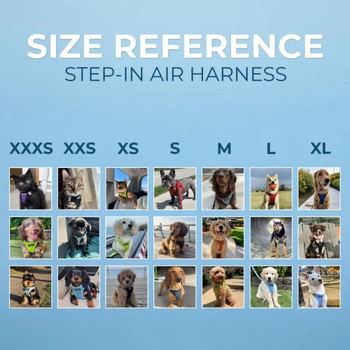 Miniatura 6 de Best Pet Supplies Voyager Step-in Air Arnés – Malla para todo clima, reflectante, arnés antitirones para perros y gatos, seguro con cierre de gancho